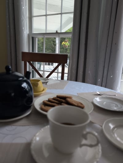 A tea setting is laid out on a table in front of a window with a view of trees and an overhang. In the foreground, a dark blue teapot sits on a saucer. Next to it is a yellow creamer and a plate of cookies. A white teacup with a saucer is in the lower right corner of the frame. The window is divided into panes, and a hanging basket of flowers is visible outside. A wooden chair is positioned behind the table, and light grey curtains hang on either side of the window. The scene suggests a peaceful indoor setting with a connection to the outdoors.