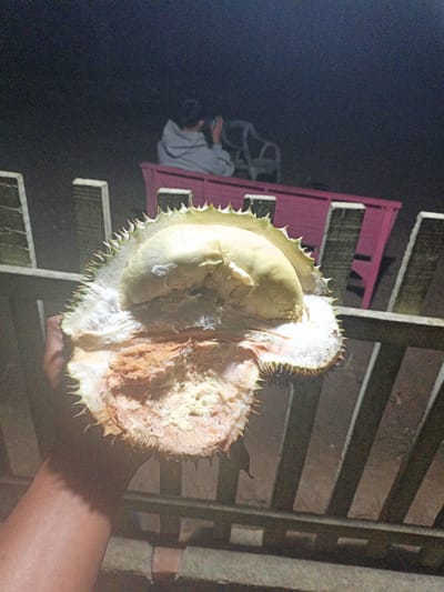 A person is holding a cut durian fruit in the foreground, with its thorny rind and creamy yellow flesh visible. In the background, slightly out of focus, a person wearing a grey hoodie is seated in a pink cart. The setting appears to be outdoors at night, possibly in Meunasahuket, Indonesia, with wooden fencing visible on either side of the frame. The overall lighting suggests artificial illumination.