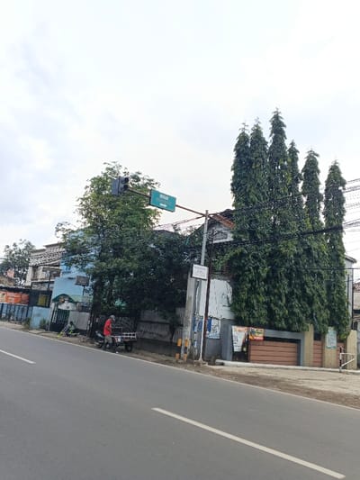 A street scene shows a road with a slight angle, a building with tall, slender trees lining its front. A traffic light and street sign stand near other trees on the left. A man is seen next to a motorbike with a trailer. A building with advertisements is visible further down the street. The sky is overcast.