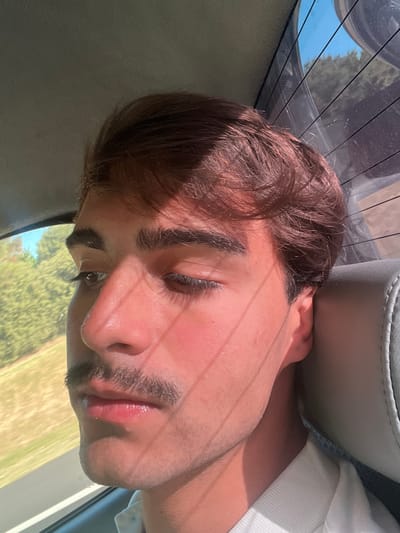 The image captures a close-up portrait of a young male individual, positioned on his side within what appears to be a car interior. The subject's head is resting against a light grey headrest or car seat, indicating a relaxed posture, possibly sleeping or resting. His eyes are closed or heavily lidded, and he has prominent, dark eyebrows and a faint mustache/stubble on his upper lip and chin. His hair is dark brown, medium length, and slightly tousled. His skin has a natural, warm tone, with a slight reddish blush on his cheeks, likely from sun exposure.

Bright natural sunlight streams into the car, casting distinct horizontal shadow lines across the subject's face, hair, and the surrounding car interior, suggesting light passing through a window with a grid or defroster lines. These shadows highlight the contours of his face and the texture of his hair.

Through the car's rear window, visible behind the subject's head, there's a clear view of a bright blue sky and green foliage, likely trees or fields, indicating an outdoor, daytime setting. Another glimpse of the exterior, showing a grassy area, is visible on the lower right side of the frame. A white garment, possibly a t-shirt or shirt, can be seen on the right side near the subject's shoulder. The overall impression is one of peaceful rest or travel during a sunny day. No text is visible in the image.