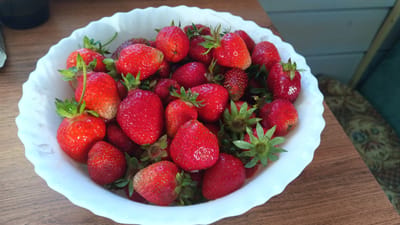 A white, scalloped-edge bowl is filled with fresh strawberries. The strawberries are a vibrant red, with some having green stems and leaves still attached. The bowl sits on a wooden surface that appears to be a table. In the background, a light-colored wall with horizontal planks is visible. To the right of the wall, a patterned fabric can be seen, possibly upholstery or a rug. The overall scene suggests a simple, domestic setting, possibly a kitchen or dining area in Анкудиново, Russia.