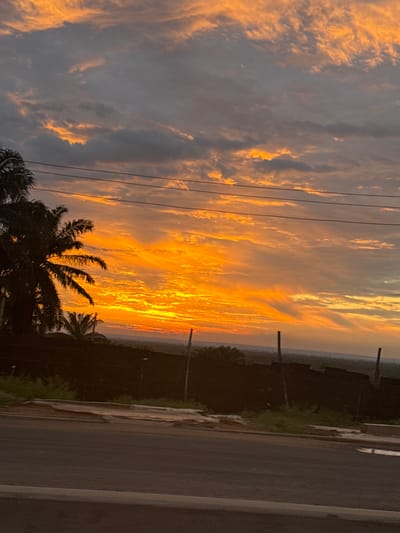 The image captures a vibrant sunset over Orifite, Nigeria. The sky is dominated by a dramatic display of orange and yellow hues, with clouds streaked across the horizon, reflecting the setting sun. In the foreground, a silhouette of palm trees stands out against the bright sky. Power lines are visible, stretched horizontally across the upper part of the image. Below the sky, a dark fence runs along the landscape, separating it from a road in the bottom portion of the frame. The road appears to be paved, with some signs of wear and tear. The overall scene depicts a natural spectacle taking place in a semi-urban or rural setting in Orifite.