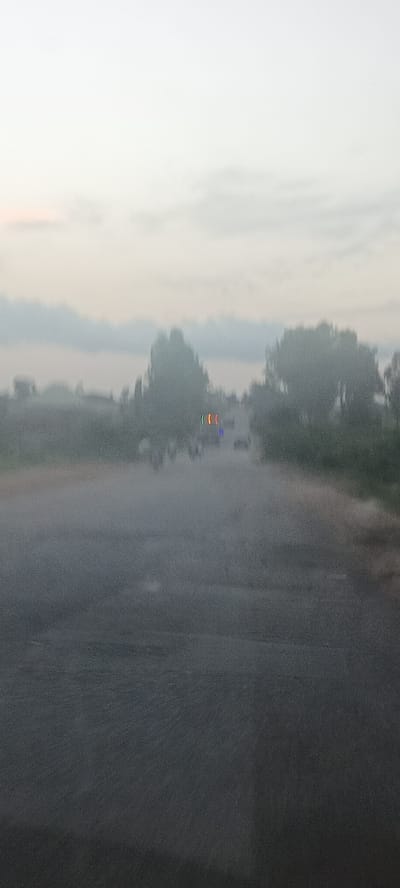 A blurry, overcast image shows a road leading away into the distance, likely located in Mangu Halle, Nigeria. Trees line both sides of the road. In the distance, unclear shapes appear to be people and vehicles. A series of red, green, and blue vertical blurs are visible near the center of the image. The road is dark asphalt. The sky is overcast and light gray.