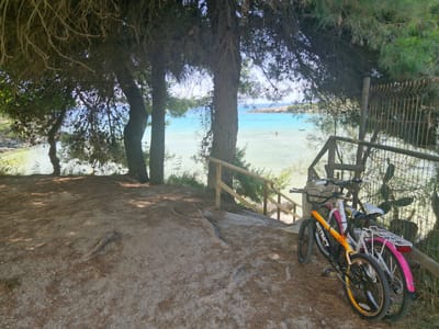 Two bicycles are parked near a wooden railing and a metal fence. The bicycle in the foreground is orange and black with the word "INSTINCT" visible on its frame. Behind it is a white bicycle with a pink rear fender. The bicycles are on a dirt path covered with pine needles, with trees providing shade overhead. Beyond the path, a calm, turquoise body of water stretches towards a distant coastline with a few small boats and people visible in the distance. The water appears shallow and clear. The scene suggests a sunny day, possibly late morning or early afternoon, given the dappled sunlight on the ground and the bright illumination of the water. The location appears to be a coastal area, likely a beach or a scenic overlook, given the water, the trees, and the path leading down towards it. The presence of the bicycles suggests they are used for recreation or transportation to this scenic spot. The overall mood is peaceful and inviting, evoking a sense of summer leisure. The text "INSTINCT" is visible on the orange bicycle.