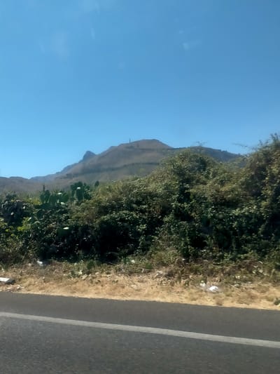 This is a photograph of a hilly landscape with a clear blue sky. In the foreground, there is a road with a gray asphalt surface and a white line marking. The median strip between the road and the vegetation is covered with dry grass and some debris. A dense cluster of green bushes and cacti are visible on the left side of the image. Behind the vegetation, a mountain range stretches across the background. The slopes of the mountains are covered with sparse vegetation and there are some scattered trees. A small structure, possibly a tower or antenna, is visible on the peak of the furthest mountain. The overall scene depicts a rural or natural environment, likely a roadside view. The location in the city of Sperone, Italy is not explicitly indicated by any landmarks or signage within the image itself.