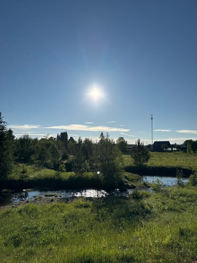 This image depicts a rural landscape in Ust'-Silayka, Russia, under clear skies. The sun, a bright white orb with visible light rays, is positioned in the upper right quadrant of the sky, creating lens flare and bright reflections on the water. The sky is predominantly clear blue, with a few thin, scattered white clouds visible along the horizon line. A small, dark, amorphous spot is present in the upper left portion of the sky.

The scene features a narrow, winding stream or creek flowing from the mid-left towards the mid-right. Its surface reflects intense sunlight in several areas. The immediate foreground and banks of the stream are covered in lush green grass, interspersed with small white and yellow wildflowers. Patches of sunlight illuminate sections of the grass.

A dense concentration of diverse trees and shrubs forms a natural barrier across the midground, including various conifer and deciduous species. Beyond this tree line, in the upper right background, a dark-roofed building, possibly a house, is visible, situated near the base of a tall, slender metal lattice tower. The tower appears to be a communications or observation structure. No people or discernible animals are present in the scene.