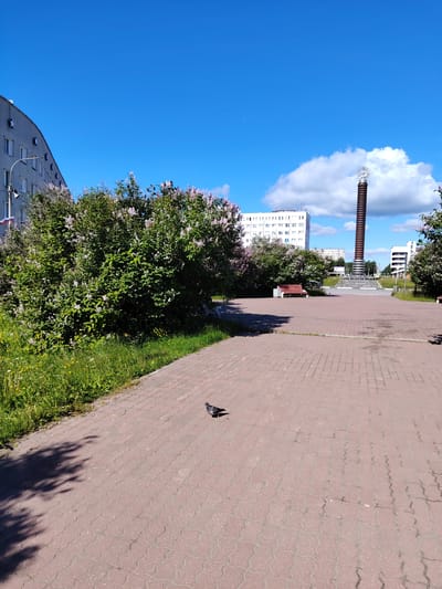 A pigeon stands on a red brick pathway in a park under a clear blue sky with scattered white clouds. Lush green bushes with light purple flowers line the left side of the pathway, with a tall, dark, cylindrical monument topped with a decorative element in the background. To the left of the monument, a large white building with many windows stands tall. Further left, another building, partially obscured by trees, is visible. In the distance, more buildings and trees can be seen. The sun appears to be high in the sky, suggesting it is daytime. A red park bench is visible to the right of the bushes. The overall scene evokes a peaceful, urban park setting on a pleasant day. There is no visible text.