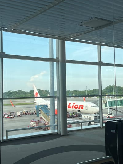 The image depicts an airport scene, likely in Ramunia Dua, Indonesia, as indicated by the "Lion" branded airplane visible through a window. The viewpoint is from inside the airport terminal. The window is constructed of multiple glass panes separated by metal supports.
Outside the window, two Lion Air planes are visible on the tarmac. The first plane is closer, with the full "Lion" logo displayed on its fuselage. A passenger boarding bridge is attached to the second plane.
Airport personnel and equipment are also seen around the aircraft, including baggage carts and service vehicles. In the background, trees define the perimeter of the airport grounds.
The light is bright, suggesting daytime. The sky is visible in the upper portions of the window panes.