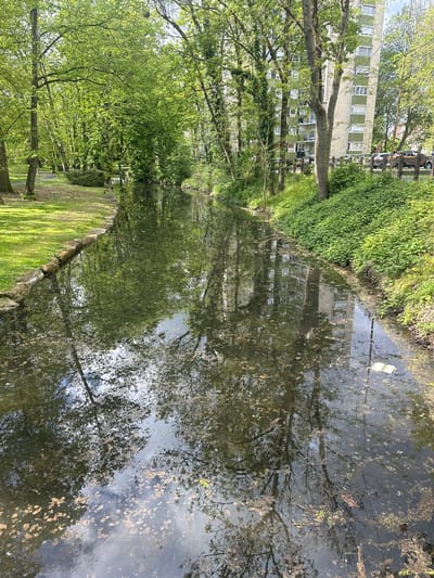 The image shows a narrow canal in Nogent-sur-Oise, France, reflecting the surrounding environment. A multi-story building with numerous windows is partially visible behind a row of trees on the left bank of the canal. Dense green vegetation lines the canal's edge on both sides, with a grassy area visible on the left. The canal water reflects the sky, trees, and building, creating a mirrored effect.