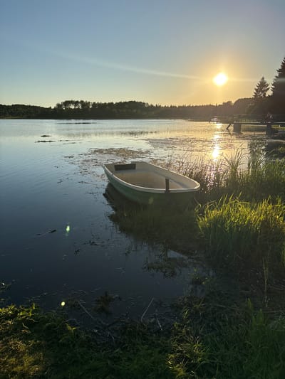 The image depicts a serene sunset scene at a lake in Chikino, Russia. In the foreground, a small, green and white rowboat is moored near the grassy shore. The water is calm, reflecting the warm hues of the setting sun, with patches of aquatic vegetation visible. In the background, a dense line of trees borders the lake, silhouetted against the bright sky. The sun, a glowing orb of yellow and orange, is low on the horizon, casting a radiant glow across the water and the sky. A wooden dock with a set of stairs leading into the water is visible to the right, also bathed in the sunset's light. The overall atmosphere is tranquil and peaceful, typical of a summer evening in the Russian countryside.