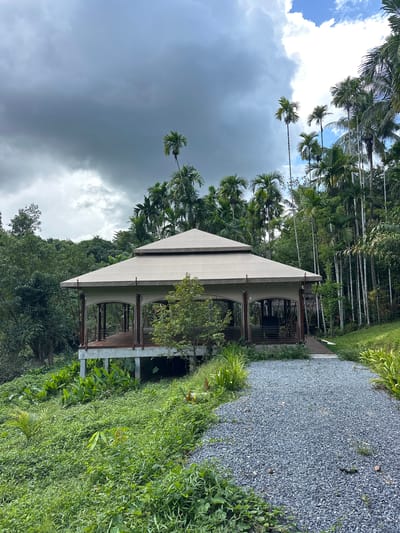 A covered pavilion with a light-colored canvas roof and dark brown pillars stands on a raised wooden deck in a lush, green, tropical environment. The pavilion is open on the sides, revealing dark furniture inside. A gravel pathway leads from the lower right of the frame towards the pavilion. Dense vegetation, including various trees and plants, surrounds the structure. In the background, tall palm trees dominate the skyline under a dramatic sky with dark, cloudy sections and patches of blue. The scene appears to be located in Khlong Thom Nuea, Thailand, likely at a resort or natural attraction, given the presence of manicured landscaping and the open-air pavilion.