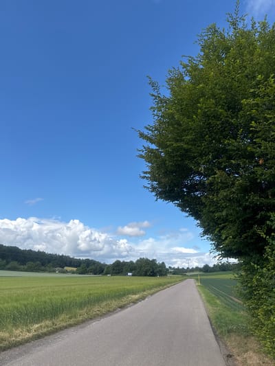 The image depicts a paved road curving through a rural landscape under a bright blue sky with scattered white clouds. To the right, a dense green tree occupies a significant portion of the frame, its leaves creating a lush canopy. The road itself is asphalt and appears to be a two-lane country road. On the left side of the road, a vast green field stretches towards a line of trees and rolling hills in the distance. On the right side of the road, another field, this one with visible rows of crops, is present. In the far distance, a few buildings and a white truck are visible amidst the greenery. The scene is tranquil and appears to be located in the countryside, possibly in or around Tamm, Germany, given the style of the landscape and the presence of agricultural fields. There are no people or animals directly visible in the frame.