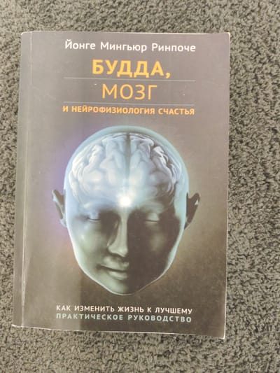 The image shows the cover of a book titled "БУДДА, МОЗГ И НЕЙРОФИЗИОЛОГИЯ СЧАСТЬЯ" which translates to "Buddha, Brain and Neurophysiology of Happiness" by Йонге Мингьюр Ринпоче. The cover features a stylized illustration of a human head with a glowing brain visible inside. Below the title, it reads "КАК ИЗМЕНИТЬ ЖИЗНЬ К ЛУЧШЕМУ ПРАКТИЧЕСКОЕ РУКОВОДСТВО" which translates to "How to Change Life for the Better: A Practical Guide". The book is placed on a textured, dark gray carpet. There is no indication of any specific location in Schwäbisch Gmünd, Germany, or any people present in the image. The image is a close-up shot of the book cover.