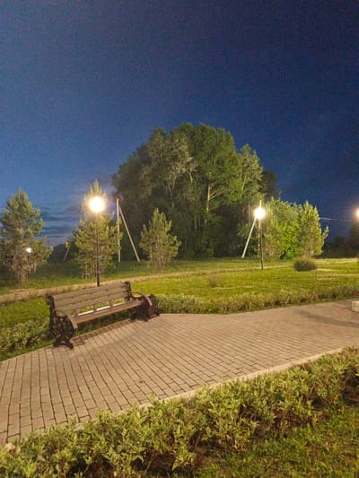 This is a medium-shot, vertical, outdoor, artificial-light photograph taken at dusk or night. The scene is a park in Kalachevo, Russia. The primary subjects are a park bench and a paved walkway. The bench is made of dark metal and wood, with ornate cast-iron armrests and legs. It is positioned on the grass beside the walkway. The walkway is paved with light-colored rectangular bricks arranged in a herringbone pattern. Lush green grass and small bushes border the walkway and surround the bench.
In the background, there are several trees. On the left, there are two pine trees and some deciduous trees. The middle background is dominated by a large cluster of mature deciduous trees. On the right, there are more deciduous trees and some bushes. Two lampposts are visible, one in the middle ground, illuminated and casting a warm glow on the surrounding trees and grass, and another to the far right, partially visible and also illuminated. The sky above is a deep, clear blue, characteristic of twilight or night. There are no people or animals visible in the image. The overall mood is peaceful and serene, enhanced by the soft artificial lighting against the darkening sky. There is no visible text in the image.