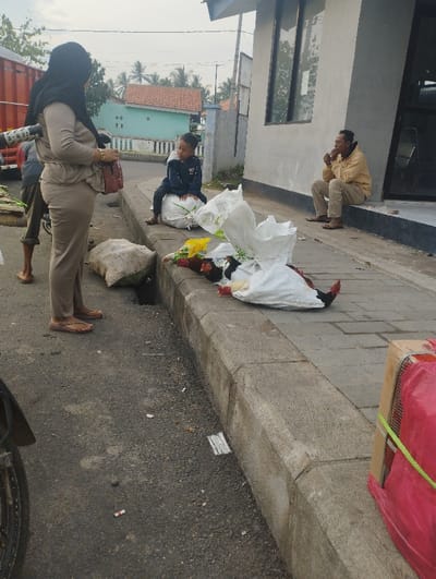 This outdoor scene in Kecamatan Jangkar, Indonesia, captures several individuals and objects by the side of an asphalt road, separated by a concrete curb from a narrow sidewalk. The sky appears overcast, suggesting a cloudy day, possibly morning or late afternoon given the soft lighting.
On the left, a woman wearing a black hijab and a light brown long-sleeved top with matching pants stands facing away from the camera, looking towards the left. She carries a red-brown handbag and wears sandals. Partially visible next to her is another person in brown shorts, facing away. A red truck is visible in the background, and on a white pipe attached to it, the partially legible Indonesian word "JANGAN" (meaning "Don't") can be seen.
To the right, a young child in a dark blue jacket sits on a large white sack positioned on the curb. Further right along the sidewalk, a man in a light yellow jacket and brown pants sits on the ground, leaning against a grey building with a dark window. He holds something to his mouth, appearing to be smoking.
Scattered on the curb and sidewalk in front of the child and man are several torn white sacks, from which red, black, and white feathered poultry, likely chickens, are visible. These sacks appear to contain live or recently deceased birds, suggesting a market or transport scenario. On the far right, a large red object, possibly a cage or package wrapped in mesh and plastic with yellow straps, rests on the sidewalk.
In the background, beyond the road and behind the people, are several houses with terracotta-colored and blue roofs, and lush green foliage, indicating a residential or semi-rural setting. A motorcycle tire is partially visible in the bottom left foreground. The overall atmosphere is mundane, with people waiting or resting by the roadside. No strong emotions are overtly expressed by the individuals.