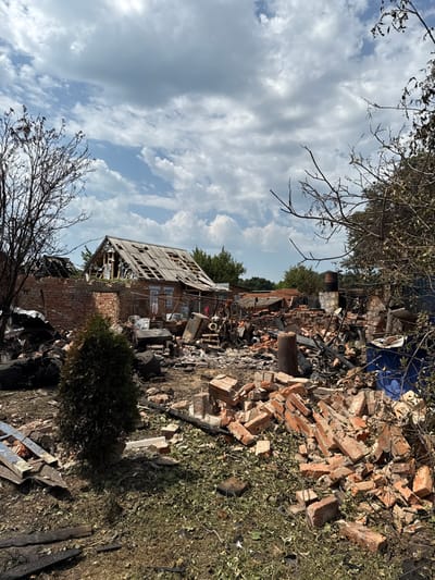 This image, taken in Nedryhailiv, Ukraine, shows an outdoor scene of significant structural destruction under a partly cloudy sky. The foreground and midground are covered in scattered debris. In the immediate foreground, a small, dark green conifer tree stands on the left. To its right, a large pile of red bricks dominates the lower right portion of the frame. The ground is composed of exposed soil mixed with dry leaves and small pieces of dark, charred debris.

The midground is filled with a chaotic accumulation of rubble, including segments of brick walls, charred wooden beams, twisted metal, and unidentifiable remnants of household items or machinery. A dark, cylindrical metal object stands vertically among the debris in the mid-right. A blue container is partially visible on the far right.

In the background, a single-story residential structure is visible, characterized by a severely damaged and partially collapsed corrugated roof with multiple exposed rafters and holes. Portions of its light-colored walls remain standing. Surrounding this house are additional remnants of collapsed brick structures. Bare, dark tree branches frame the scene on both the left and right sides, while green trees and foliage are visible in the distant background. No individuals are present in the image.