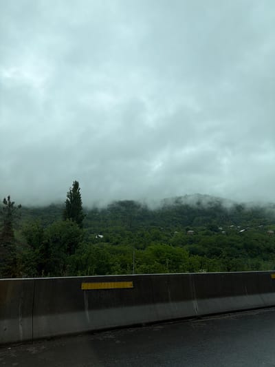 The image depicts a mountainside obscured by fog near Grigalati, Georgia. Dense green vegetation covers the slope, with glimpses of small buildings or houses scattered among the trees. A concrete barrier, marked with a yellow reflector strip, runs along the edge of the road, which is wet and reflects light. The sky is overcast, with thick fog hanging low over the mountain.