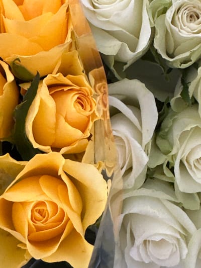 A close-up, overhead shot shows a bouquet of roses, split into two distinct color groups. On the left, vibrant yellow roses are densely packed, their petals unfurling in tight spirals. A translucent, light brown ribbon is draped diagonally across the center of the frame, partially obscuring some of the yellow roses and overlapping with the white roses on the right. The white roses on the right are also tightly clustered, with soft, creamy petals. The bouquet is likely arranged for a gift or event. The image does not contain any discernible elements that would allow for identification of a specific location, such as the city of Moortown, Ireland.