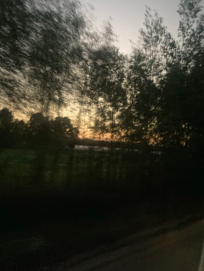 The image captures a blurry, impressionistic view of a landscape at dusk, likely taken from a moving vehicle. Silhouetted trees with blurred foliage dominate the foreground and midground. Through the trees, a soft, warm glow suggests a sunset or twilight sky, casting a subtle light on what appears to be a body of water in the distance. The lower portion of the image is dark, obscuring details of the ground. The overall effect is one of motion and atmospheric light, hinting at a rural or semi-rural setting with natural elements. The exact location within Кіселявецкі сельскі Савет, Belarus, cannot be precisely determined from the visual information alone due to the lack of identifiable landmarks.