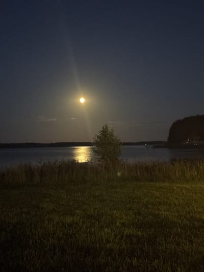 A full moon illuminates a calm lake at night. The moon, a bright orb, casts a shimmering reflection on the water's surface. In the foreground, tall dry grass and a patch of green grass suggest a natural landscape, possibly a lakeshore. A lone tree stands in the middle ground, silhouetted against the moonlit sky. In the distance, a dark tree line marks the far bank of the lake, with a few faint lights visible, hinting at human habitation. The overall atmosphere is tranquil and serene. This scene is located in Слабадскі сельскі Савет, Belarus.