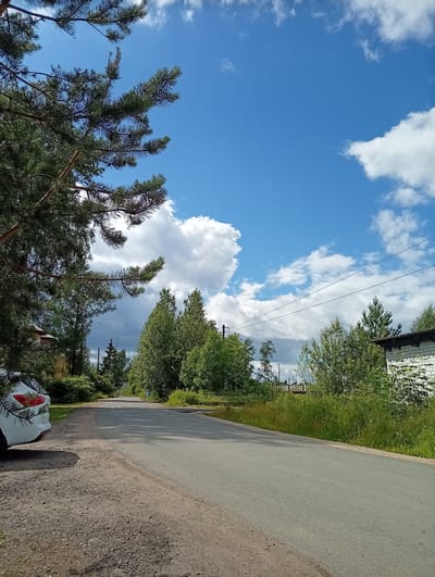 This image depicts a rural scene in Meshokol', Russia, on a sunny day with scattered clouds. The foreground is dominated by a gravel shoulder next to an asphalt road, with a white car parked on the left. Tall pine branches extend from the upper left corner, partially obscuring the bright blue sky. The road curves gently into the distance, bordered by lush green trees and vegetation. A white brick building with dark trim is visible on the right side of the road. Telephone wires stretch across the sky in the middle ground. The overall impression is one of a peaceful, natural landscape, likely during the daytime given the clear sky and shadows. There are no people visible, and no text is present in the image.