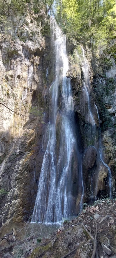 The image shows a waterfall in the area of Бачковски манастир, Bulgaria. Water flows down a rocky cliff face covered with vegetation. The water appears as a blurred white cascade against the darker rocks. The scene is partially shaded, with patches of sunlight hitting the rocks and foliage. The surrounding environment consists of a forest, with trees and undergrowth visible. The image is oriented vertically.