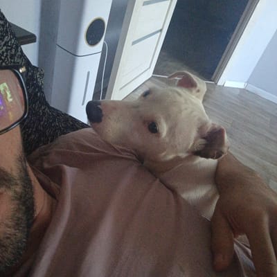 A light-colored dog rests on a person's chest, its head tilted to the side. The person is wearing a light pink shirt, and part of their face is visible on the left side of the image, wearing glasses. The background shows a white vertical appliance with a black circular element and a doorframe. The flooring appears to be wood laminate. The setting is an indoor residential environment in Vyshgorodok, Russia.