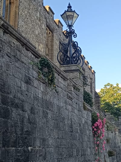 The image shows a stone wall in Arundel, United Kingdom, with an ornate lamppost at the top. The wall is made of large, rough-hewn gray stones. Ivy grows along the top of the wall, and a cascade of pink roses spills down the side. The lamppost is black and features intricate scrollwork. Behind the wall, a building with stone accents and arched windows is visible, topped with battlements. Trees with green foliage are seen in the background, and the sky is a clear blue.