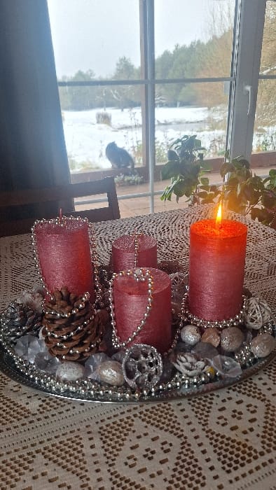 The image depicts an indoor setting in Petriškė, Lithuania, featuring an Advent wreath placed on a table with a view of a snowy outdoor landscape through a window.
In the foreground, a prominent Advent wreath rests on a light-colored, patterned lace tablecloth. The wreath is composed of four dark red, cylindrical pillar candles, positioned on a reflective silver-colored, possibly oval, tray. The rightmost candle is actively burning, displaying a distinct flame. Silver beaded garlands are draped around and between the candles. Additional decorations within the tray include several natural pinecones, various silver-hued decorative spheres, and small, clear, faceted ornamental pieces.
Behind the table, a multi-pane window serves as the background, revealing an exterior winter scene. The ground outside is covered in snow. Evergreen trees are visible in the mid-distance, along with a partially snow-covered or frozen body of water. A dark-colored cat is perched on an exterior ledge or sill directly outside the window, facing left. To the right of the candles, an indoor green potted plant is visible on the windowsill. Partially visible indoor elements include a dark wooden chair to the left of the wreath and a dark curtain on the far left of the window frame.