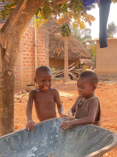 Two young boys are prominently featured in the foreground of an outdoor scene in Nev, Nigeria. The boy on the left, shirtless, displays a broad smile towards the viewer, with his hands resting on the upper edge of a weathered, grey metallic wheelbarrow. The boy on the right, clad in a dark, worn sleeveless top and exhibiting a shaved pattern on the side of his head, is focused downwards, with his hands inside the wheelbarrow. The immediate ground surface is composed of reddish-brown earth. In the background, from left to right, a large tree trunk is partially visible. Adjacent to it stands a partial brick wall with a vertical white PVC pipe installation. A slender papaya tree, heavily laden with numerous green, unripe papayas clustered at its crown, occupies the mid-ground. Behind the papaya tree, a traditional round hut with a thatched roof is discernible, accompanied by a pile of wooden debris. Further right, a section of another earthen-colored building is visible, and dark clothing hangs from an unseen line in the upper right quadrant of the frame. A dark bucket with a wire handle rests on the ground near the base of the large tree trunk on the left.