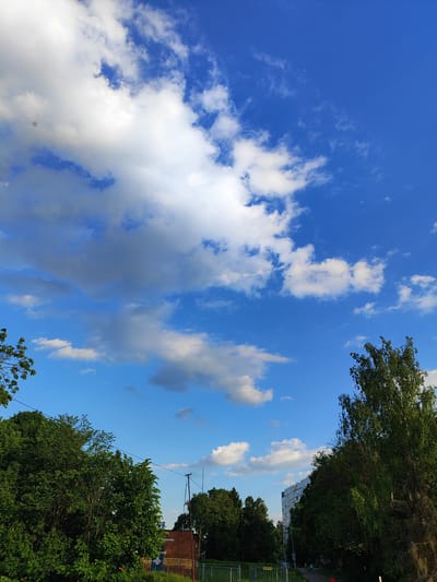 The image displays an outdoor scene characterized by a bright blue sky filled with numerous white and light grey cumulus clouds, casting some areas of the sky into shadow, while other sections remain a brilliant azure.
The lower half of the frame is rich with natural elements, primarily dense green foliage from various trees that flank both sides of the view. On the far right, a large tree trunk with rough bark is partially visible, leading up to its green canopy. Through the trees in the mid-ground, a path or unpaved road can be seen. Several small human figures are discernible walking along this path, suggesting leisurely activity.
In the background, behind the trees and a prominent dark utility pole with wires stretching across the frame, glimpses of brick-red buildings are visible. Further to the right and in the distance, a tall, light-colored multi-story residential building, likely an apartment block, stands out against the sky, indicating a semi-urban or suburban setting in Mednoye-Vlasovo, Russia. A light-colored metal fence is situated in the lower-center of the image.
The clear, vibrant lighting indicates a daytime setting, likely mid-morning or late afternoon, under pleasant weather conditions. No distinct text is visible within the image. The scene conveys a sense of calm and everyday life within a green environment.