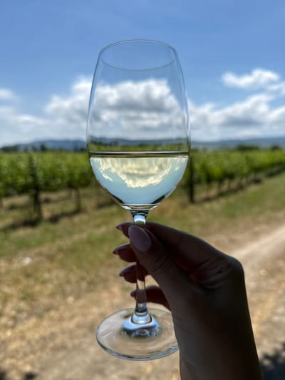 A hand with pale pink nail polish holds a stemmed wine glass filled with pale yellow liquid. The glass is positioned in the foreground, slightly off-center to the right. The liquid reflects the sky and clouds. In the background, out of focus, are rows of green grapevines stretching into the distance, with a dirt path visible to the right. Hills are visible in the far background, and the sky is a clear blue with scattered white clouds. The scene appears to be a vineyard in Mukhrani, Georgia, during daylight hours, likely summer or early autumn due to the lush greenery.