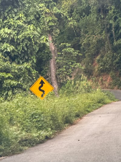 The image depicts a winding road with lush green vegetation on either side. A yellow diamond-shaped road sign with a black winding arrow indicating a sharp curve is prominently displayed on the right side of the road. The road itself appears to be paved and relatively narrow, curving into the distance. The surrounding environment is characterized by dense foliage, with trees and various plants creating a natural, almost wild setting. The lighting suggests it might be daytime, possibly overcast or early morning/late afternoon, as there are no harsh shadows. The overall scene conveys a sense of a rural or remote location, typical of a mountainous or forested area. The presence of the road sign suggests it is a route where drivers need to be cautious of upcoming turns. There is no visible text other than the symbol on the road sign. The image does not contain any people, and no specific activity is taking place. The weather appears to be damp, with some glistening on the leaves, hinting at recent rain or dew. The location context of Ban Pak Ra, Thailand, aligns with the visual cues of tropical or subtropical vegetation and a winding road often found in such regions.