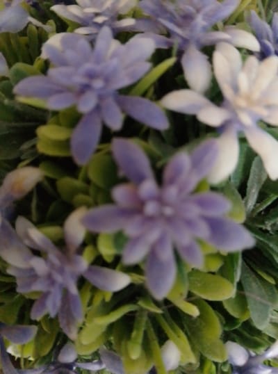 The media file shows a close-up, slightly blurry, overhead view of artificial flowers and greenery. The subjects are the flowers, which appear to be light purple and white, and the green leaves and stems of the plant. The setting is a close-up shot of what seems to be a decorative plant, possibly an artificial bouquet or floral arrangement. There are no people visible, and no specific activity or event is taking place. Notable details include the slightly out-of-focus nature of the image, which gives a soft, impressionistic feel to the flowers and foliage. The lighting appears to be ambient and diffuse, without harsh shadows. The colors are soft, with muted purples, whites, and various shades of green. There are no visible text elements in the image. The provided location context is Wedel, Germany, but there are no specific visual cues within the image that confirm this location.