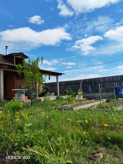The image depicts a rural yard with a wooden house and a garden in the foreground. The house has a corrugated metal roof and a wooden porch. The yard is covered in green grass and yellow wildflowers. There are several raised garden beds with soil, and a tall wooden fence runs along the back of the property. A large blue barrel is visible near the fence. The sky is blue with scattered white clouds. The scene appears to be set in the village of Erkhirik, Russia, based on the provided metadata. There are no people visible in the image.