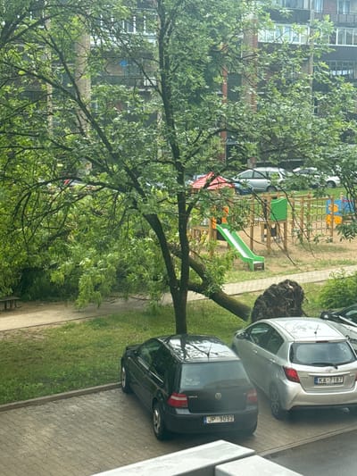 In Olaine, Latvia, a residential area displays the aftermath of a storm. A large tree has fallen, its roots exposed and lying on the ground near a children's playground. The playground features a slide, climbing structures, and swings, all appearing intact. Two cars are parked in a lot: a black Volkswagen Golf and a silver Toyota Yaris. The Golf is parked in the foreground, while the Yaris is behind it, partially obscured by the fallen tree. The background shows a multi-story apartment building with visible windows and balconies. The scene is viewed from an elevated position, likely a window.
