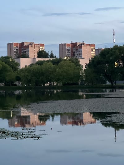 The image displays a reflection in the water of buildings and trees. The scene is a body of water, possibly a lake or river, with buildings and lush green trees lining its edge. The reflection is so clear that it appears as if the scene is upside down. The buildings are multi-story structures with windows and balconies, suggesting an urban or suburban setting. The trees are full of leaves, indicating it is likely springtime or summer.

The sky is a soft blue, with some wispy clouds, suggesting it is either early morning or late evening, a time often associated with calm and tranquility. The light is diffused, and there are no harsh shadows, further supporting the idea of a gentle time of day. The water's surface is calm, creating a near-perfect mirror image of the surroundings. There are some lily pads or similar aquatic plants visible on the surface of the water, adding a touch of natural detail to the scene.

The overall mood conveyed by the image is peaceful and serene, with the symmetry of the reflection creating a sense of harmony. There is no visible text in the image. The location context provided is Rahya, Russia, which gives a geographical reference to the scene.