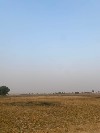 The image displays an expansive outdoor scene, oriented vertically, with the sky occupying the left portion and a dry field taking up the right side.
The left half of the image is dominated by a pale, clear blue sky, which gradually lightens to an almost whitish-grey as it approaches the center of the frame. Several faint, circular, slightly darker smudges are visible across the sky area, suggesting dust on the camera lens or sensor. There are no clouds, and the sky appears somewhat hazy.
A distinct vertical line runs roughly down the middle of the image, serving as the horizon in this orientation, separating the sky from the field. Along this horizon line, numerous small, dark green trees and bushes are scattered sparsely in the distance, indicating a distant treeline or scattered vegetation.
The right half of the image is filled with a vast, flat agricultural field. The vegetation is consistently dry and appears golden-brown or light brown, characteristic of harvested crops or dried stubble. The field surface shows some texture, suggesting uneven ground or dried plant material. In the lower-mid section of the field, a few small, indistinct piles or heaps of this golden-brown material are visible, possibly remnants of harvest or small haystacks. A slightly darker, less vegetated strip, potentially a dirt path or track, runs vertically along the far right edge of the image.
In the bottom-right corner of the image, a larger, dark green tree with denser foliage stands out, appearing closer than the smaller trees along the distant horizon.
The overall lighting is soft and diffused, indicating either an overcast sky, significant atmospheric haze, or the soft light of early morning or late afternoon. The color palette is muted, dominated by pale blues, golden browns, and dark greens, conveying a dry, possibly arid, environment.