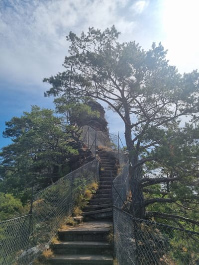 The image shows an outdoor scene with a stone staircase leading up a rocky incline, bordered by a chain-link fence. A large pine tree with prominent branches is positioned to the right of the staircase, with its foliage extending into the upper portion of the frame. The sky above is blue with scattered white clouds and a bright sun, creating lens flare in the upper right corner. The background reveals more greenery and rocky outcrops. This is a view of the historic Dahner Felsenland, a region in Dahn, Germany, known for its sandstone rock formations and hiking trails.