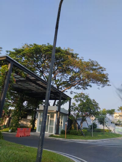 A low-angle, outdoor, full shot depicts a street scene in Sidodadi, Indonesia, under a clear blue sky. A dark, vertical pole, possibly a lamp post, bisects the frame. In the foreground, a paved road curves to the right, bordered by lush green grass. Orange traffic barriers are visible on the left side of the road, near an entrance. A modern, glass-enclosed guardhouse or small building stands beyond the barriers, with a dark metal canopy extending over it. Behind the guardhouse, a large, leafy tree with vibrant green foliage dominates the upper right portion of the image. Smaller trees and manicured bushes are also present. A diamond-shaped yellow sign with a black symbol, possibly a warning sign, is planted in the grass to the right of the guardhouse. The overall environment suggests a residential area or a developed commercial space.