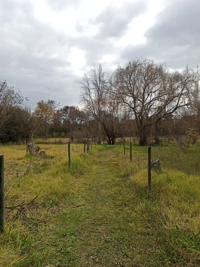 The image depicts an outdoor scene with a dirt path leading through a grassy field. The path is flanked by wooden posts, suggesting a fence line. In the background, several trees are visible, some with bare branches, indicating a season like late autumn or winter. The sky is overcast with heavy clouds. On the left side of the path, near the foreground, there are remnants of a tree stump and some fallen branches. The overall environment suggests a rural or semi-rural setting. The location is identified as Randburg, South Africa.