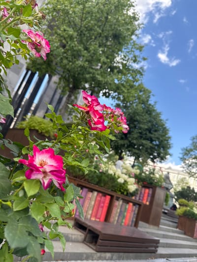 The image shows a close-up of pink and white roses in the foreground. In the background, a set of wooden planters resembling bookshelves filled with books are arranged on stairs. There are also trees, a building, and a blue sky with clouds visible. The location is identified as Moscow, Russia. The scene appears to be an outdoor public space, possibly a park or a plaza, with a creative installation of books. There are no discernible actions or interactions captured.