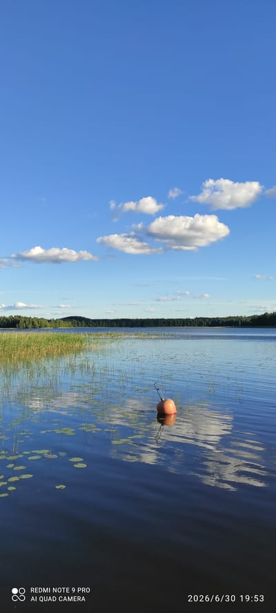 A bright, sunny day is depicted with a clear blue sky dotted with fluffy white clouds. The scene is dominated by a calm body of water, likely a lake, with ripples reflecting the sky and surrounding trees. The water's edge is lined with tall, green reeds and lily pads. A single orange buoy is visible in the water, attached to a thin wire or rope. In the distance, a dense forest forms a dark green line along the horizon. The image appears to be taken from a slightly elevated position, possibly from a boat or dock. The timestamp in the bottom right corner indicates the photo was taken on June 30, 2026, at 19:53, suggesting it is late afternoon or early evening. The overall mood is peaceful and serene, characteristic of a summer day in a natural setting. The text "REDMI NOTE 9 PRO AI QUAD CAMERA" is also visible in the bottom right corner, indicating the device used to capture the image.