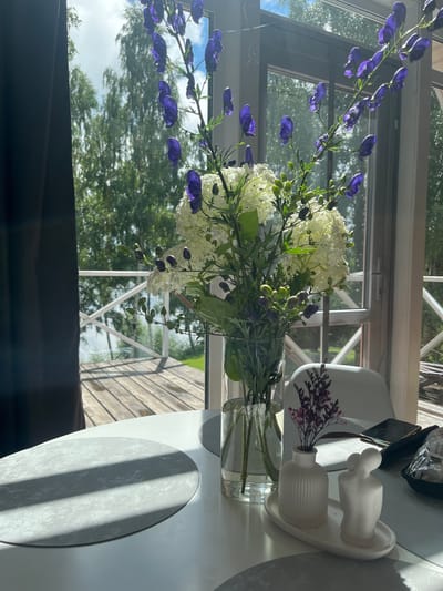 The image depicts a close-up of a white table in a room, with a large window in the background. On the table, there is a glass vase filled with a bouquet of white hydrangea and tall purple flowers with buds. To the right of the vase, on a white tray, are two small decorative items: a ribbed white vase with a sprig of dried purple flowers and a white figurine of two embracing figures. A smartphone and a plastic-wrapped item are also visible on the table. Outside the window, a wooden deck with white railings is visible, beyond which are trees and a body of water under a bright sky. The scene appears to be set in a residential dwelling, possibly a home or cottage, in Naberezhnaya, Russia, given the context. The lighting suggests it is daytime, with sunlight casting shadows on the table and deck.