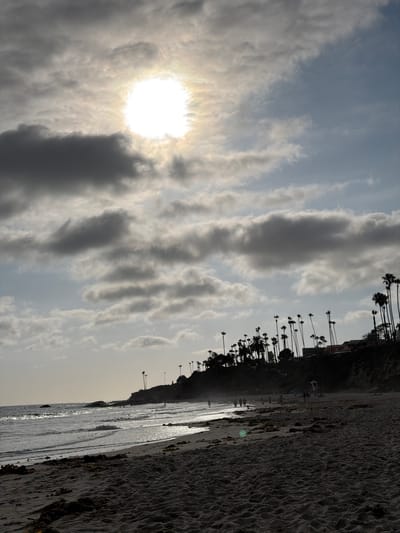 The image depicts a view of Main Beach in Laguna Beach, California, USA, during a cloudy day with the sun visible behind the clouds. The foreground is dominated by sand, with some patches of dark seaweed. The middle ground features the ocean with gentle waves breaking on the shore, and a sandy beach where a few people are seen walking and sitting. In the background, a cliffside is covered with palm trees and some buildings. The sky is filled with a mix of light and dark clouds, with the sun creating a bright, diffused glow.