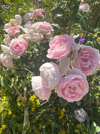 A close-up shot showcases a cluster of delicate pink roses in full bloom, interspersed with smaller buds and fading petals. The roses are the primary subjects, with their layered petals and soft pink hues filling much of the frame. Among the roses, hints of other flora are visible: vibrant green leaves, small yellow wildflowers, and a few purple blooms, suggesting a garden setting. A pale, small object resembling a figurine or decorative item with a face is nestled among the foliage to the right of the image. The lighting suggests it is daytime, with dappled sunlight illuminating the scene. The overall impression is one of natural beauty and a serene garden environment, possibly during late spring or summer in Борисово, Russia. No text is visible in the image.