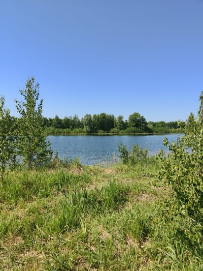 The image depicts a body of water, likely a lake or wide river, under a clear blue sky. The water is calm with slight ripples. On the near bank, there's an area of grassy vegetation and small trees or bushes. In the distance, across the water, is a treeline suggesting the far shore. The image suggests a natural setting. Given the prompt's instructions for the location as Birsk, Russia, this is likely a location within or near Birsk, Russia.