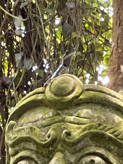 A lizard is perched on a moss-covered stone sculpture in Ban Bang Khao, Thailand. The lizard, small and detailed with stripes on its head, is positioned on the upper curve of the sculpture, which appears to be a stylized face or mask. The sculpture is a muted green, textured with moss and showing signs of age. Behind the sculpture, lush green foliage forms a dense background, with dappled sunlight filtering through the leaves and branches, creating bright highlights and darker shadows. The overall impression is of a natural setting where ancient art meets wildlife.