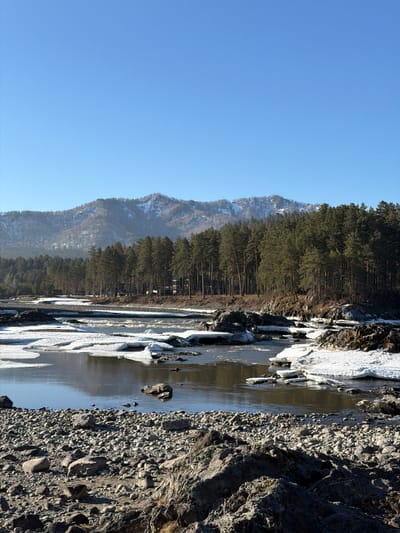 The image captures a sideways view of the Katun River in Manzherok, Russia, during winter. The river runs vertically, partially iced over with visible patches of open water reflecting the clear, blue sky. The right bank is a mix of large rocks and gravel, while the left bank features a dense forest running along the base of a snow-capped mountain. The overall scene depicts a cold, natural environment with a combination of water, ice, rock, and forest.