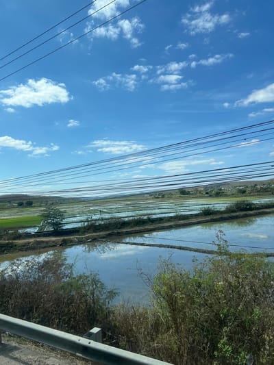 Paddy fields extend horizontally across the midground, filled with water, reflecting the sky. A strip of greenery separates the fields from a vegetated area on the right edge of the image. Power lines stretch across the sky on the left, a bright blue filled with scattered white clouds. A gray metal railing is visible in the bottom right corner. The scene conveys a rural landscape under a sunny sky.